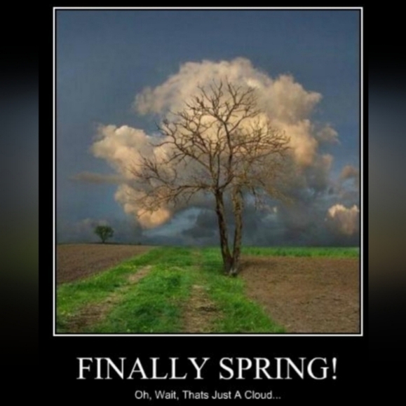 👛👜👝BAGS, CLUTCHES, TOTES & WALLETS👛👜👝 - Picture 3 of 16